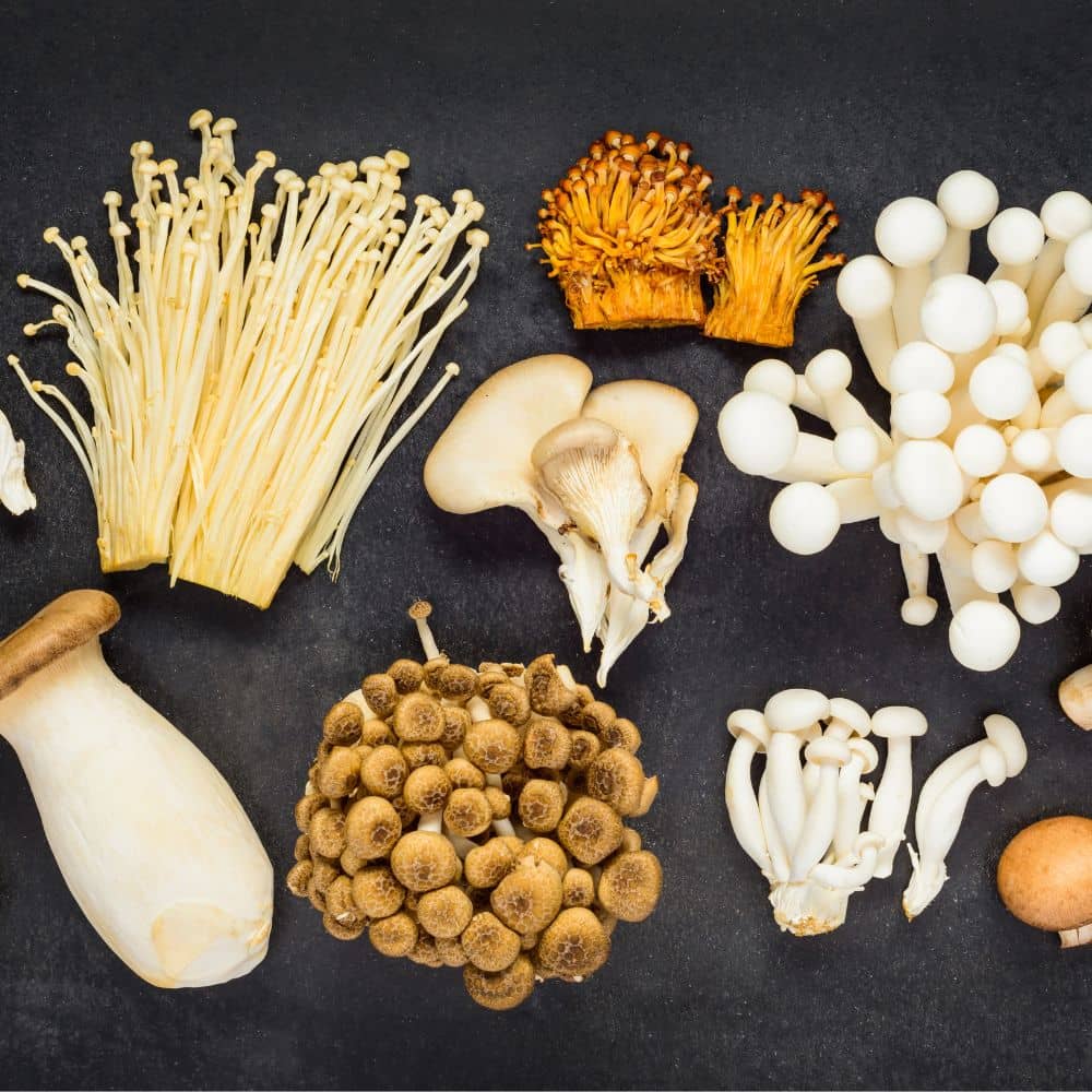 bulk mushrooms cta