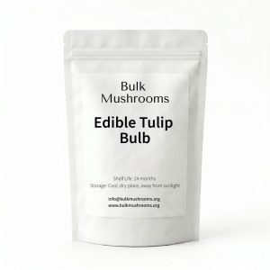 edible tulip bulb