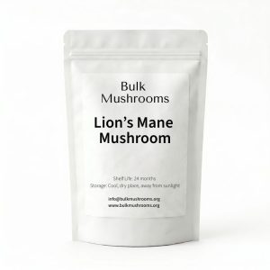 lion’s mane mushroom