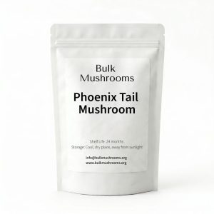 phoenix tail mushroom