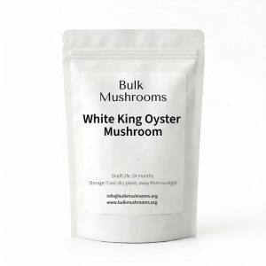 white king oyster mushroom